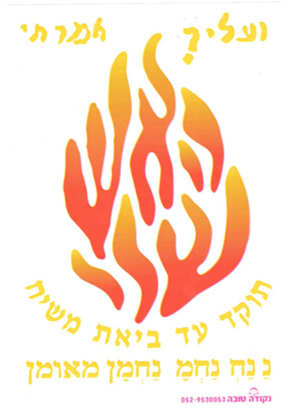 (גודל ענק)מדבקה לטלפון האש שלי