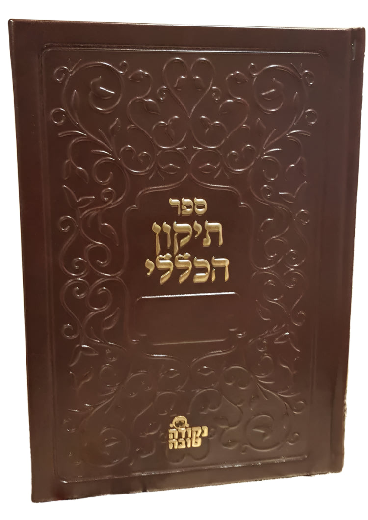 תיקון הכללי דמוי עור מפואר