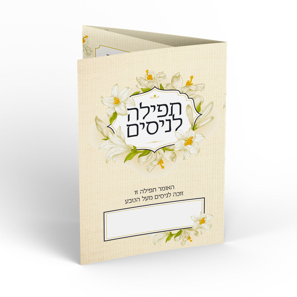 ברכון דגם -שנהב
