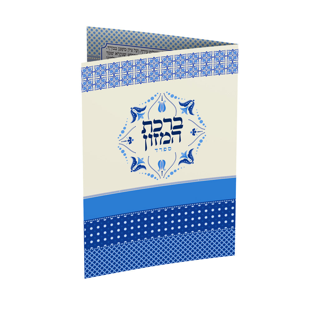 ברכון דגם -ישראל