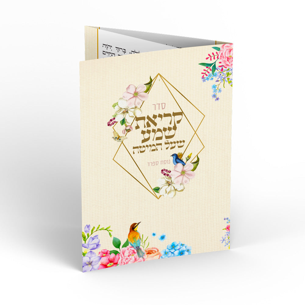ברכון דגם-אצולה